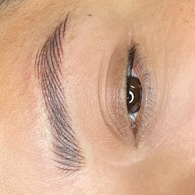 Cejas pelo a pelo